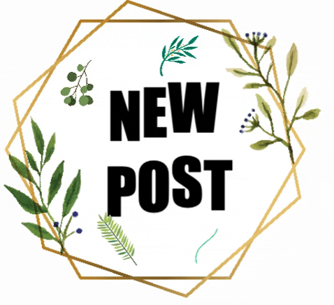 giphy_newpost02.gif