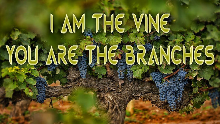 i_am_the_vine_pic04.jpeg