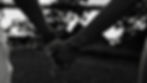IMG_7069.jpeg