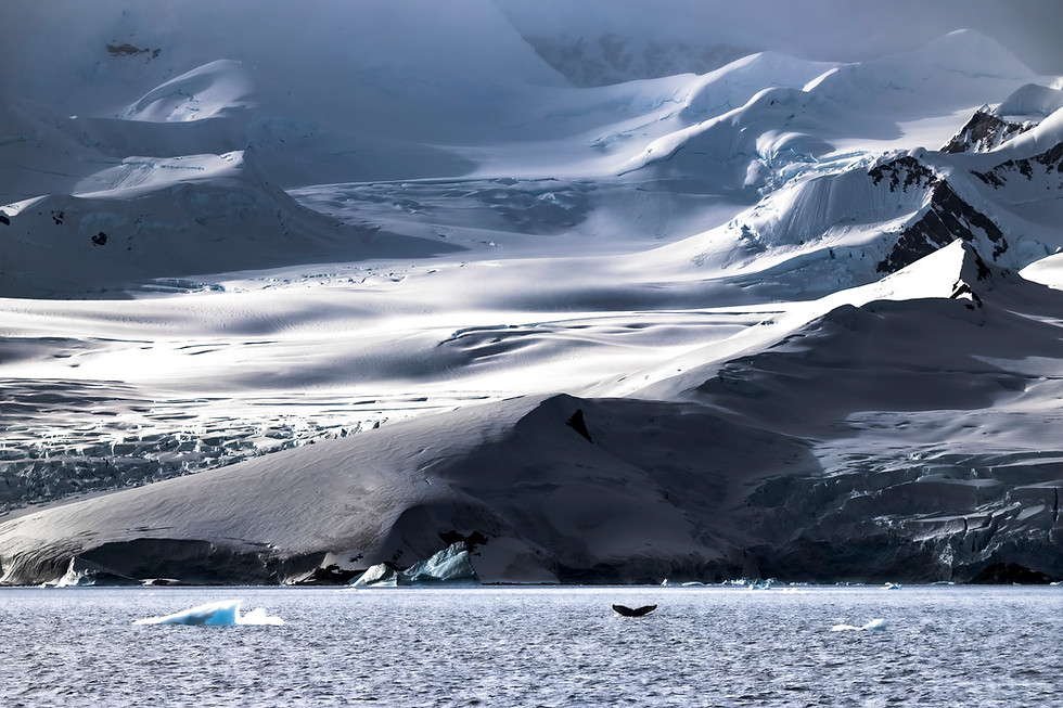 ocean power-10-2.jpg