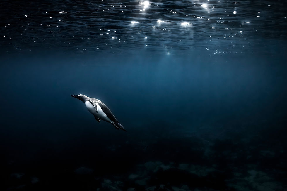 ocean power-13-2.jpg