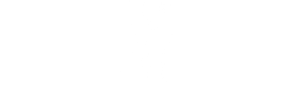 ines logo.png