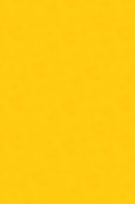 IMG_4848.PNG