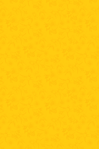 IMG_4848.PNG