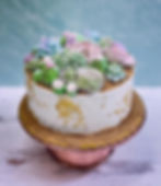 10" Round Cake