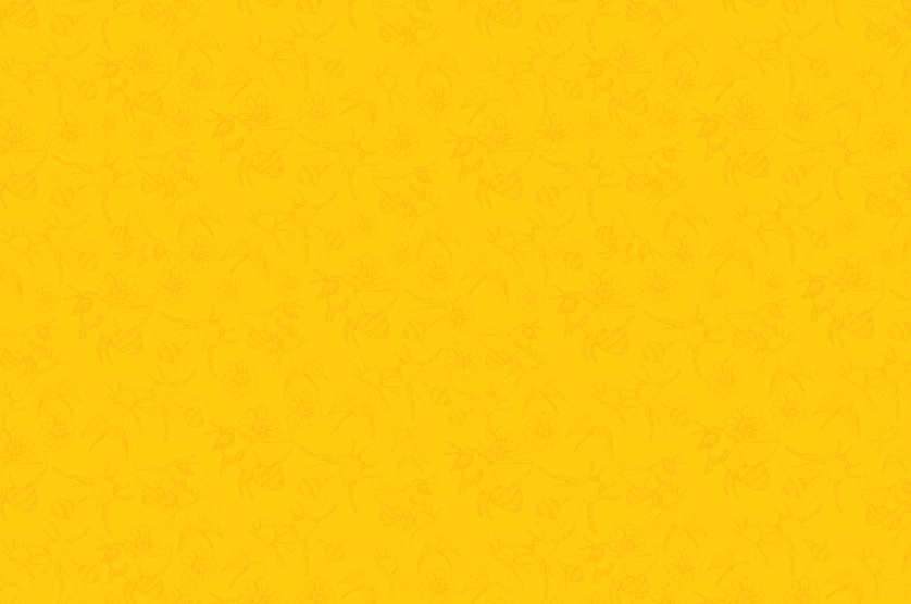 IMG_4849.PNG