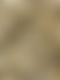 I couldn't give a fig