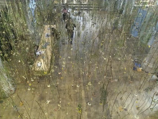 Flower installation at the Garden Museum