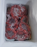 MeatSupplies.jpg