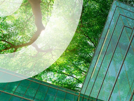 An Energy Guide for Non-Executive Directors