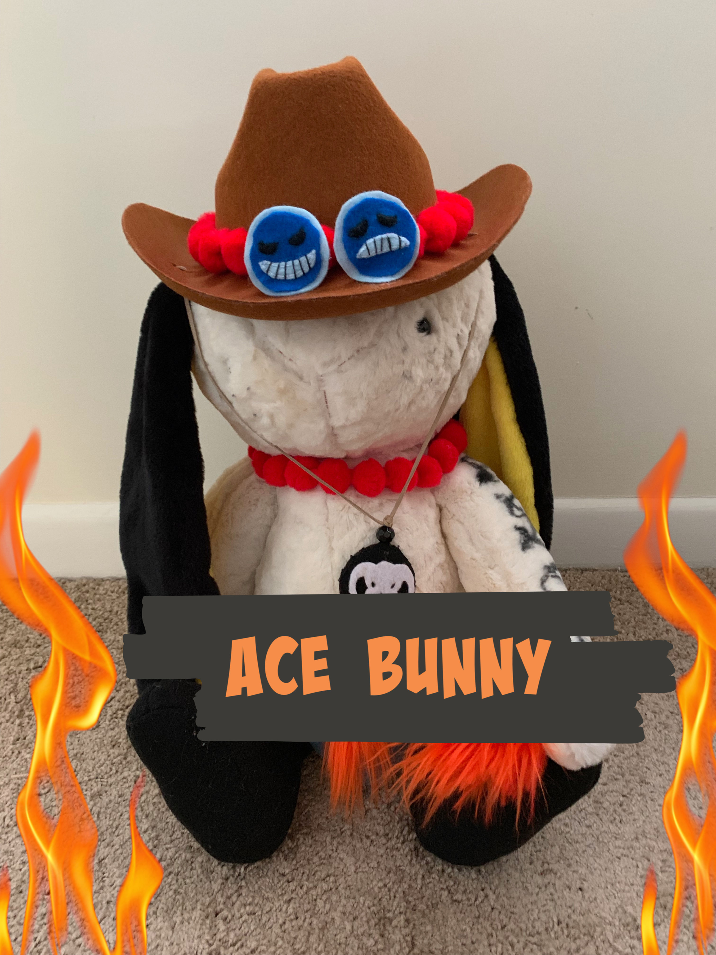 Ace Bunny