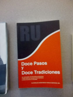 FOTO LIBRO 12 PASOS