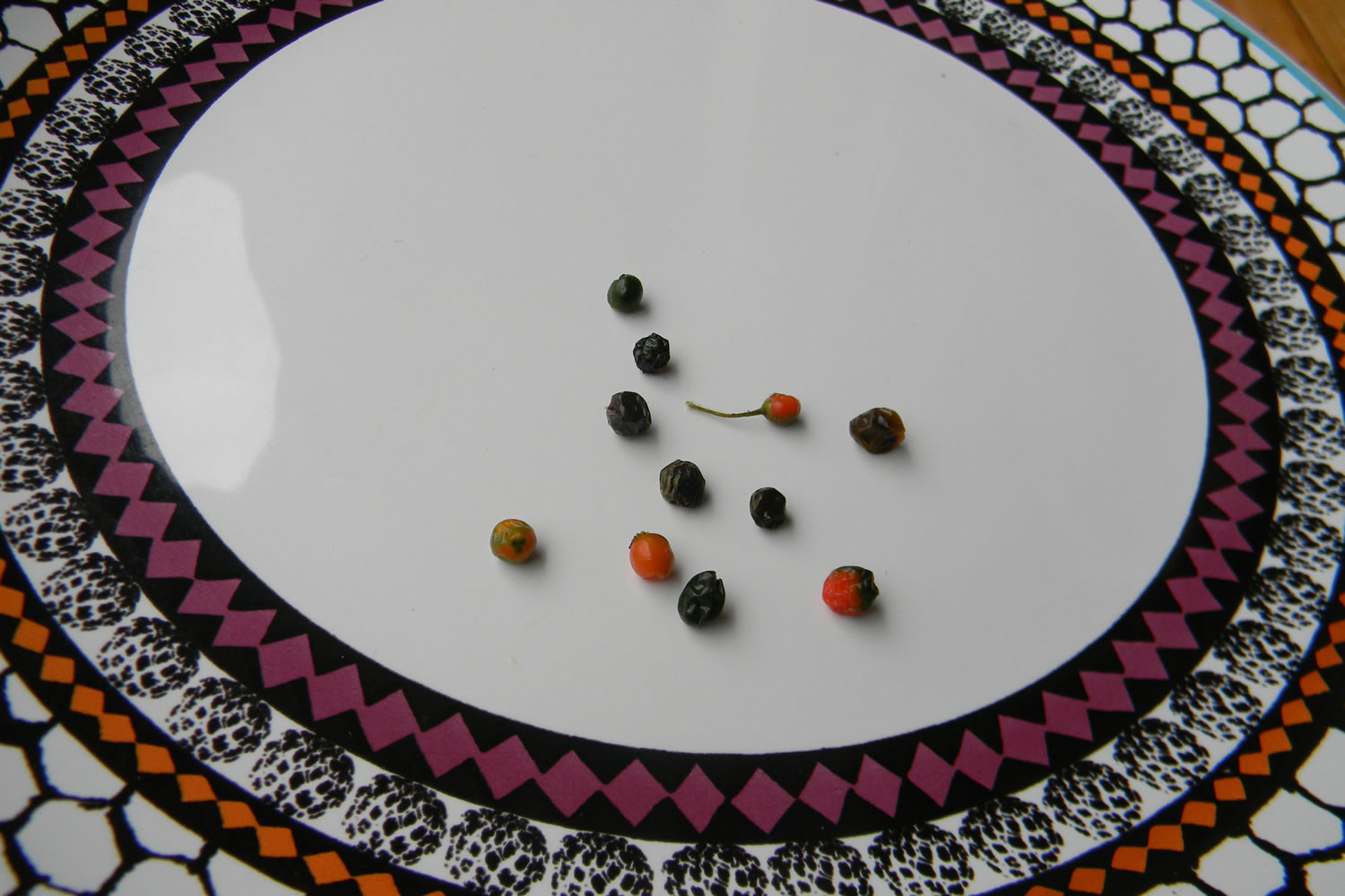 Capsicum Galapagoense