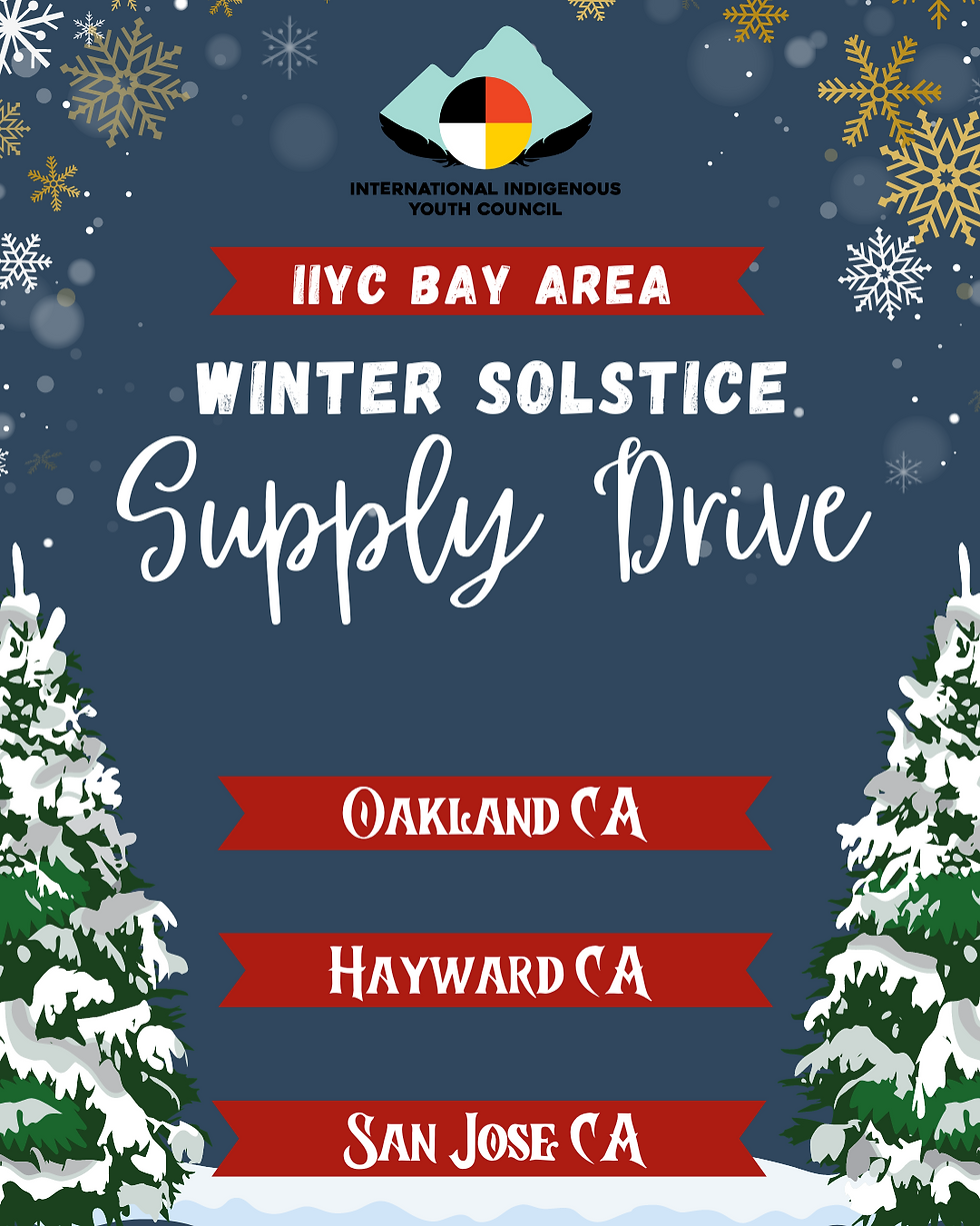 Blue Illustrated Christmas Toy Drive Instagram Post-2