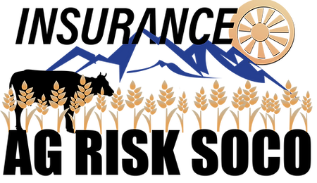 Full Logo_edited.png