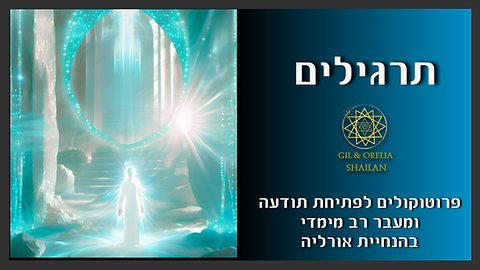 צילום מסך 2025-06-02 193649.png