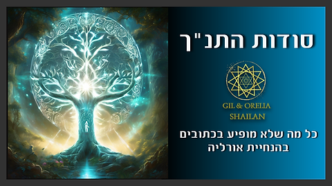צילום מסך 2025-06-02 191547.png