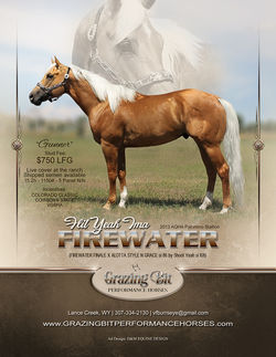 2018-2019 flityeahimafirewater ad final