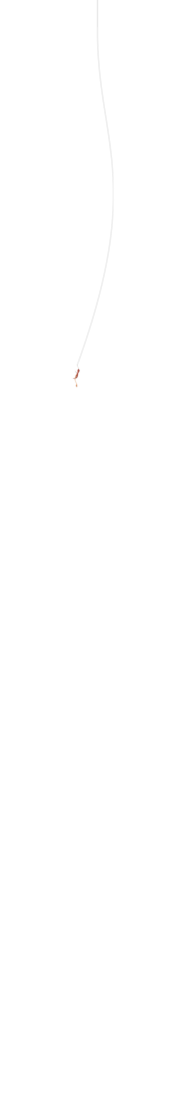 line with worm.png