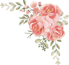 bouquet-roses-white-background-flower-ro