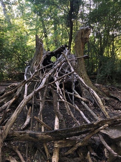 aabc5417-1cf2-4910-ad4c-c7ed8aaeb080.jfif