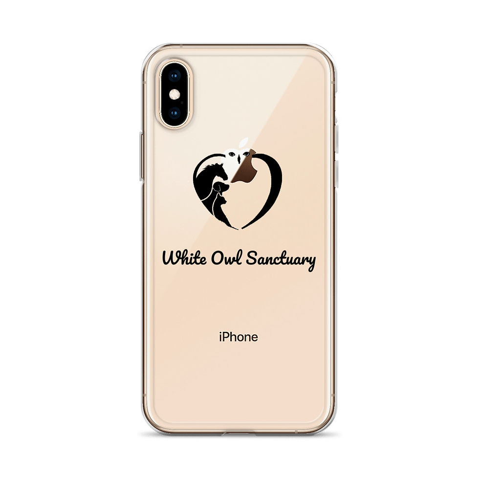 Thumbnail: iPhone Case