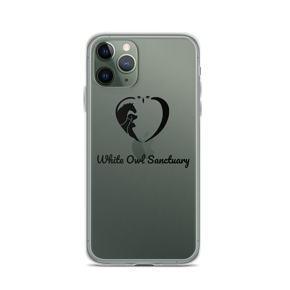 Thumbnail: iPhone Case