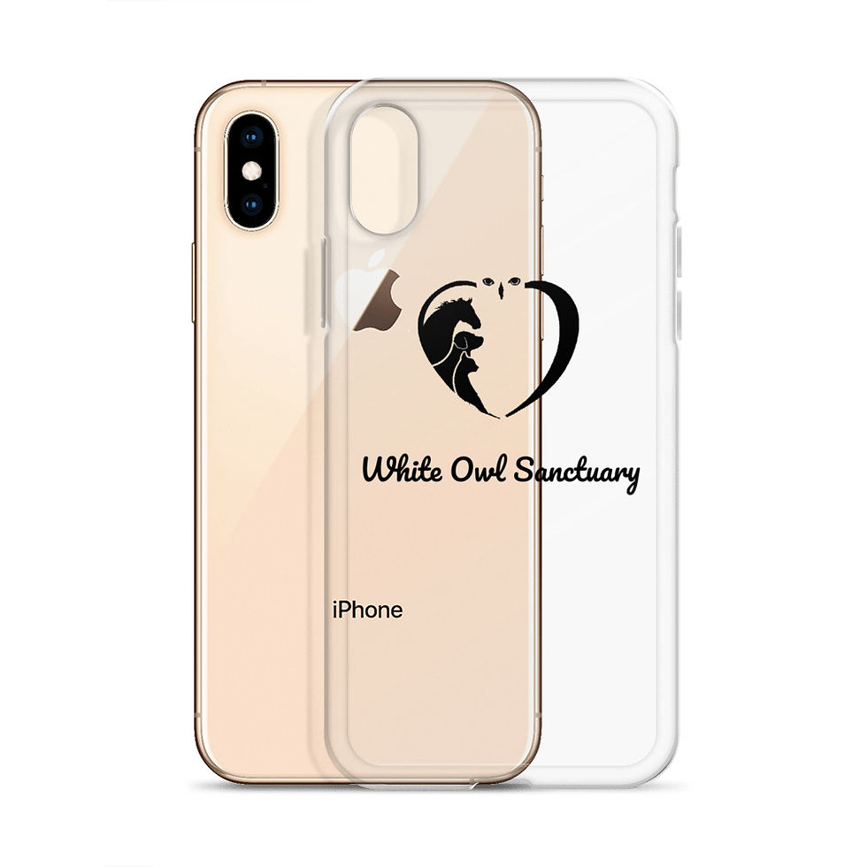 Thumbnail: iPhone Case