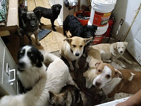 received_2485088161797501.jpeg