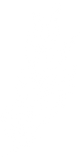 thin olive white.png