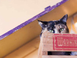 讓自己快樂的方法：你越想控制你越不快樂