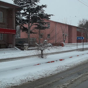 Karacabey Tim Sığırcılık Doğumhane Binası inş