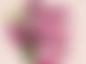 Dia Internacional da Mulher