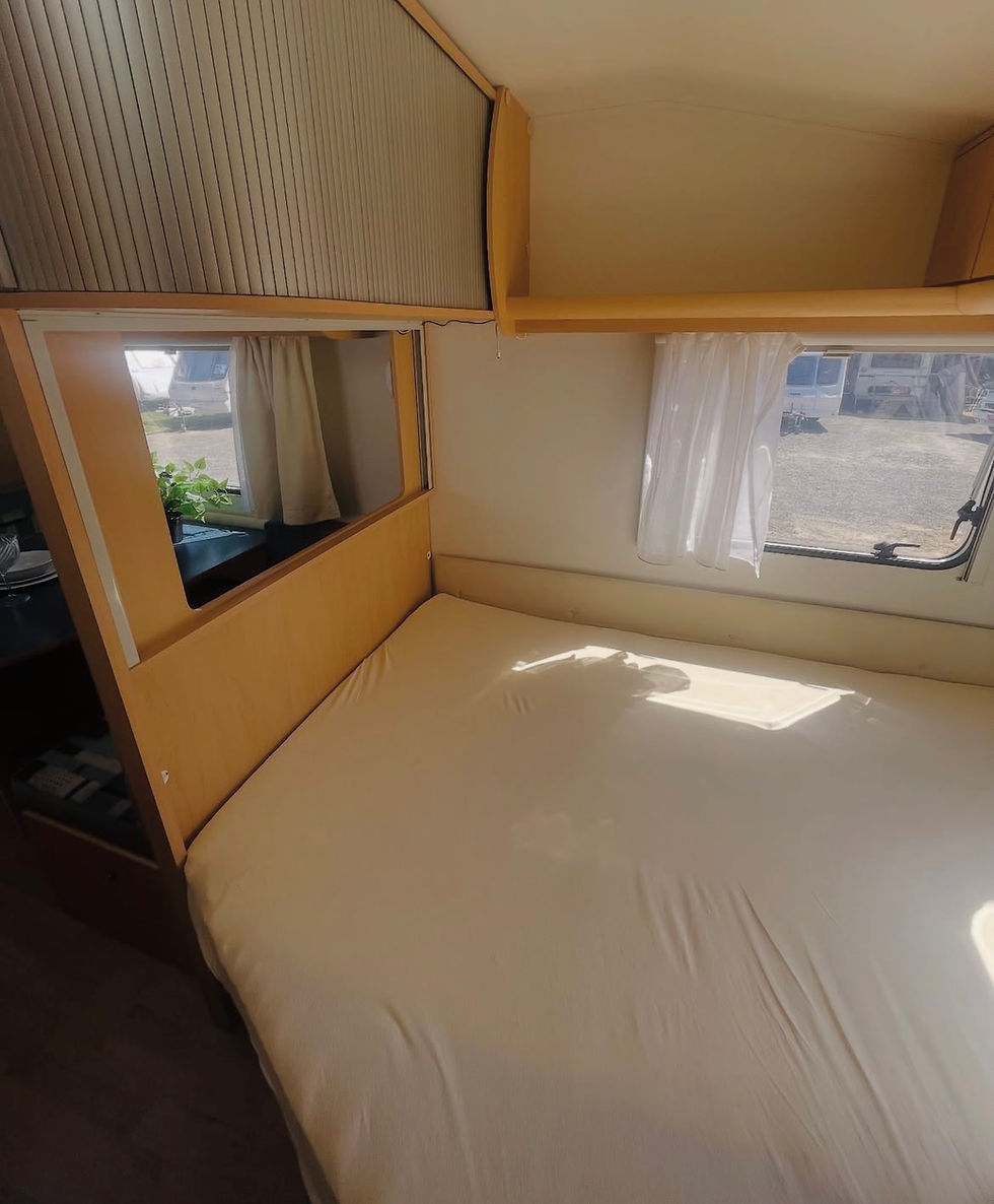 Miniatura:  N*11 DELTA EUROLINER