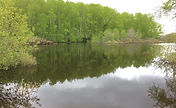 IMG-20190521-WA0008.jpg