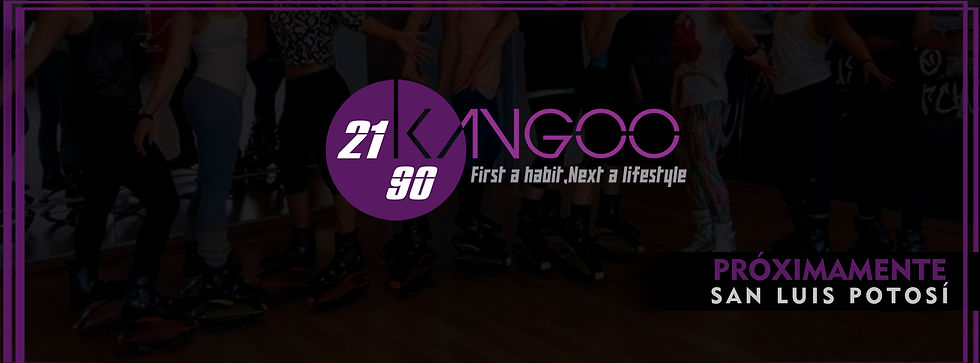 cover kangoo WEB
