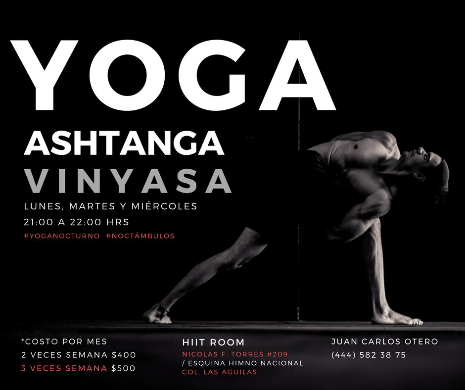 vinyasaashtanga
