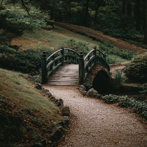 A serene path winding through nature or a graceful bridge, symbolizing the journey from "revelation to reality"