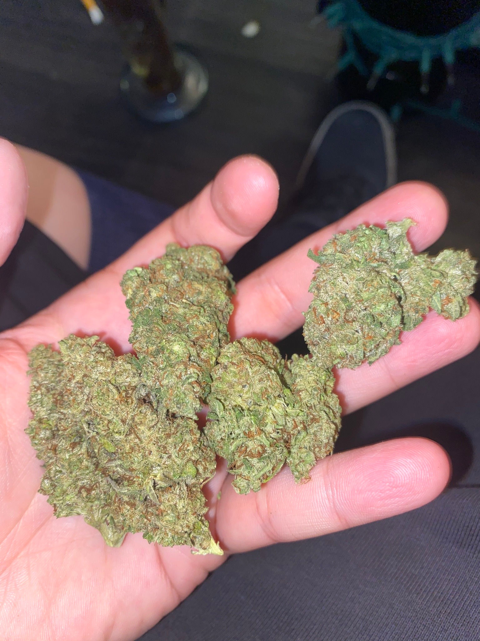Order White Buffalo kush strain online