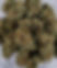 BUY WEED.jpg