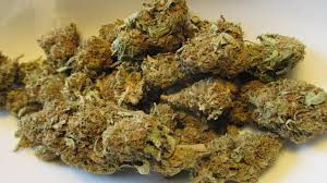 الصورة المصغرة: Buy weed strains online in USA