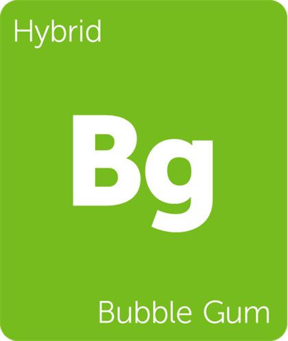 Order Bubba Gum Weed Strain