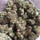Thumbnail: Mail Order cannabis strains  USA