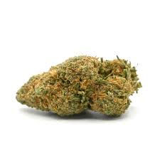 Buy Black Tuna marijuana strain