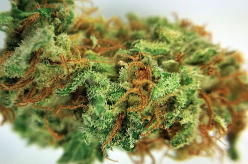 Order Zoap weed strain online