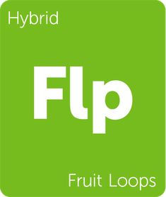 Order Fruit Loops  Haze Weed Strain