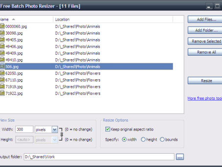 Softoria Capture  Activation Code 2022