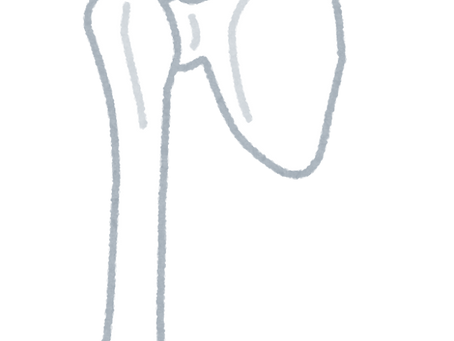 肩甲骨まわりが硬いと疲れやすくなる？対策紹介