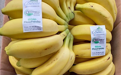 WhatsApp Image 2025-08-17 at 11.11.26.jpeg