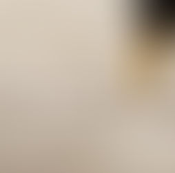 O escritor e o intelectual